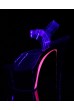Еротични Обувки на висок ток на Pleaser - SKY 308TT